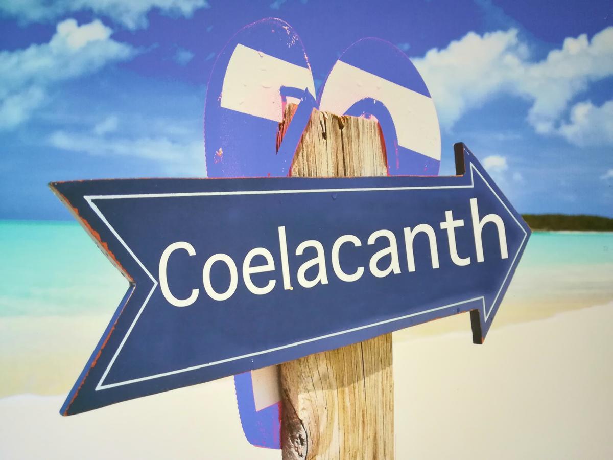 The Coelacanth Guest House And Beach Thyme Self Catering Kidd's Beach Exterior photo